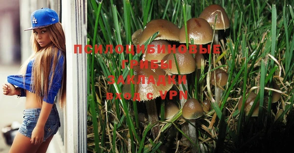 прущие крисы Новокубанск