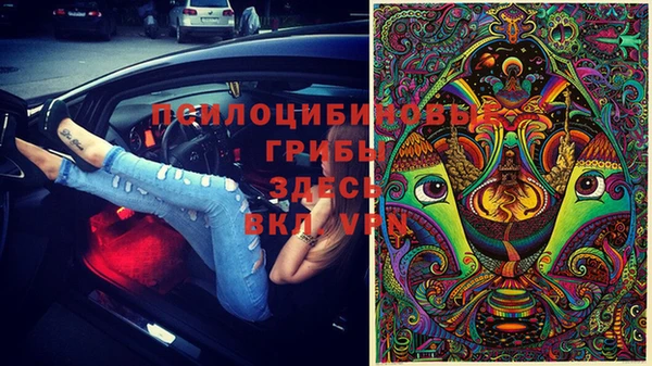 стафф Нефтекумск