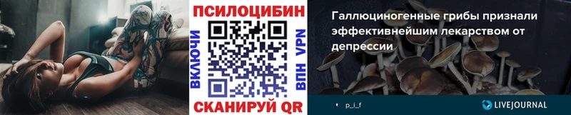 Галлюциногенные грибы прущие грибы  Моздок 