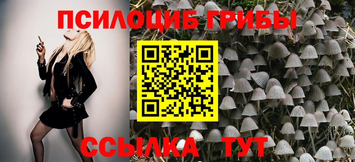 Псилоцибиновые грибы мухоморы Моздок