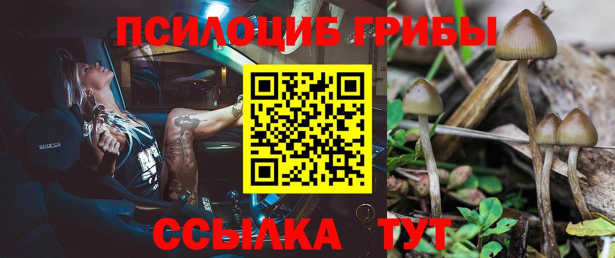 где продают наркотики  Галлюциногенные грибы ЛСД  Вход с VPN  Моздок 